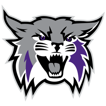 weber state wildcat icon